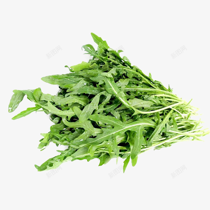 芝麻菜png免抠素材_新图网 https://ixintu.com 新鲜芝麻菜 火箭菜 绿色 蔬菜 西餐蔬菜