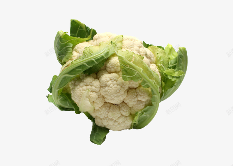 绿色蔬菜一个菜花psd免抠素材_新图网 https://ixintu.com 元素 免扣 菜花 蔬菜