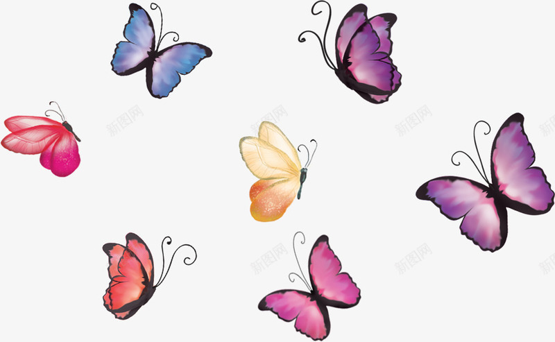 飞舞的蝴蝶png免抠素材_新图网 https://ixintu.com 紫色的 红色的 美丽的 翅膀 蝴蝶 触角 飞舞