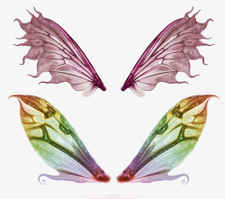 张开双臂飞行蝴蝶的翅膀高清图片