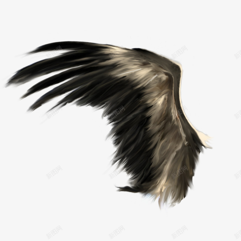 手绘黑色飞翔翅膀png免抠素材_新图网 https://ixintu.com 手绘 手绘翅膀 翅膀 翅膀装饰 飞翔 黑色