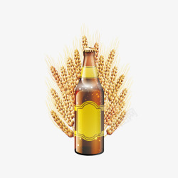 金黄的麦子啤酒素材