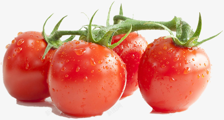 小番茄png免抠素材_新图网 https://ixintu.com 写实 实物 素食 菜 蔬菜 高清