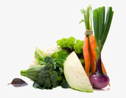 蔬菜摆放整齐放在一起的绿色蔬菜高清图片