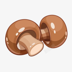 棕色蘑菇棕色蘑菇香菇蔬菜矢量图高清图片