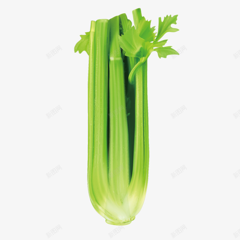 绿色芹菜png免抠素材_新图网 https://ixintu.com 绿色 芹菜 菜市场 蔬菜 装饰青菜 超市菜品 青菜