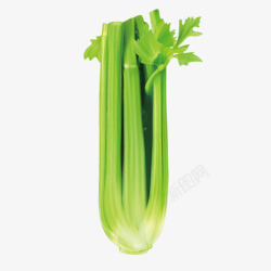 超市菜品绿色芹菜高清图片