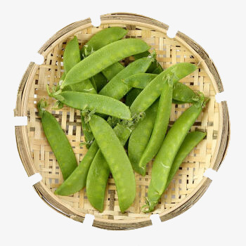 新鲜蔬菜荷兰豆png免抠素材_新图网 https://ixintu.com 实物 新鲜蔬菜 绿色 荷兰豆 蔬菜