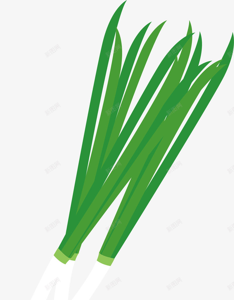 葱矢量图ai免抠素材_新图网 https://ixintu.com 卡通 叶子 手绘 水彩 绿色 美食 蔬菜 食物 矢量图