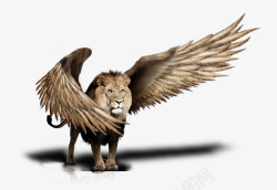 会飞的狮子创意翅膀狮子动物高清图片