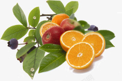 水果成熟季素材