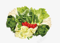 蔬菜花蔬菜高清图片