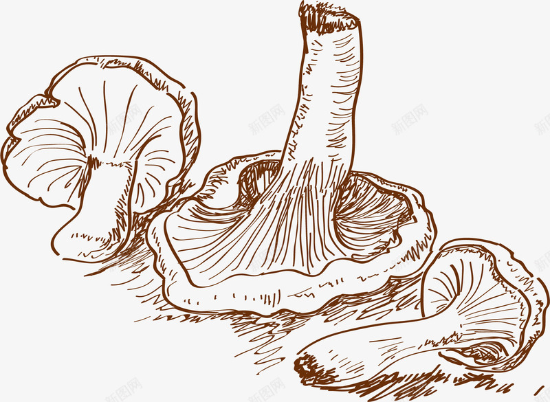 手绘蔬菜图案矢量图ai免抠素材_新图网 https://ixintu.com 手绘 插画 矢量图 菜类图片 蔬菜 蘑菇