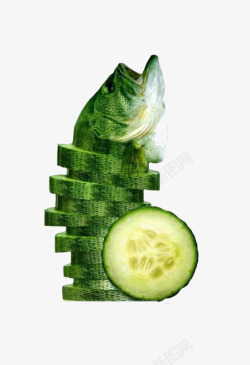 青瓜鲤鱼创意蔬菜高清图片