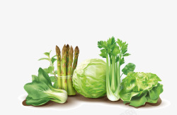 蔬菜插画矢量图素材