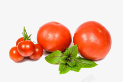 美味红色的西红柿素材