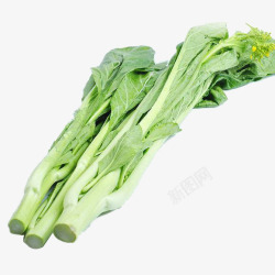 三根新鲜绿色蔬菜白菜苔素材