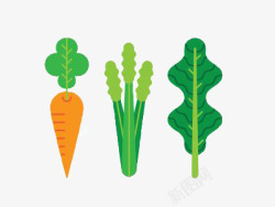 一捆胡萝卜创意蔬菜高清图片