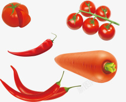 红色蔬菜胡萝卜辣椒西红柿矢量图素材