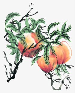 彩墨蔬菜手绘桃子高清图片