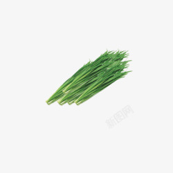 韭菜素材