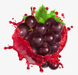 采摘葡萄美味葡萄矢量图高清图片