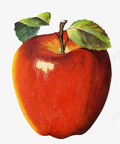 彩绘红色苹果png免抠素材_新图网 https://ixintu.com 大红苹果 带叶子的苹果 水彩画水果 苹果水果