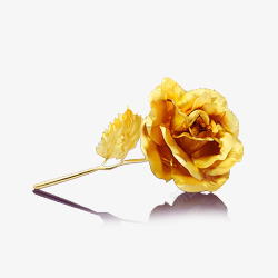 24金玫瑰金箔玫瑰花倒影高清图片