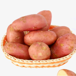 小洋芋一篮子土豆高清图片
