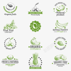 绿色蔬菜美食矢量图素材