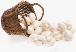 白框满框的白蘑菇高清图片
