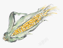 有机玉米碴子手绘玉米高清图片