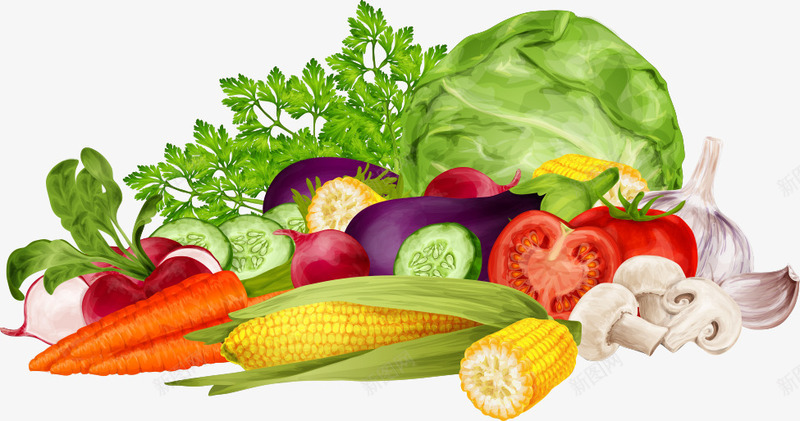 一堆新鲜蔬菜png免抠素材_新图网 https://ixintu.com 包菜 有机 玉米 胡萝卜 蘑菇 食品