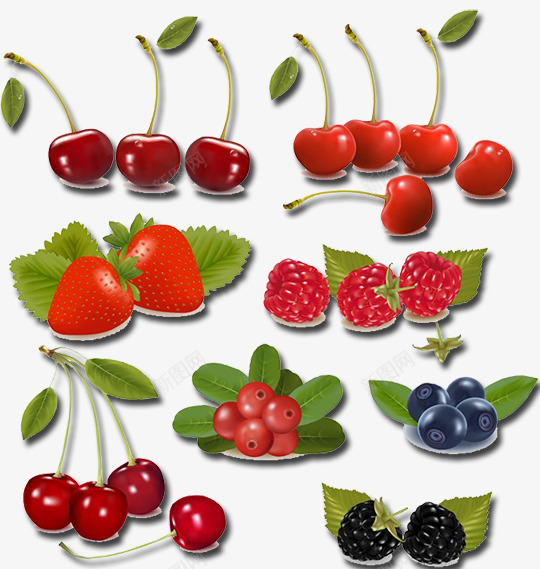 8款精美水果psd免抠素材_新图网 https://ixintu.com EPS格式 桑葚 樱桃 水果 红莓 草莓 蓝莓 蛇莓