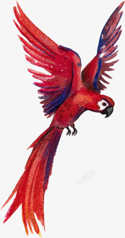 鹦鹉可爱水彩动物红色鹦鹉高清图片