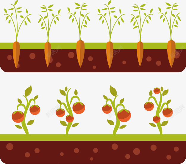 手绘种植蔬菜矢量图ai免抠素材_新图网 https://ixintu.com 土地 手绘 矢量图 种植 胡萝卜 胡萝卜叶