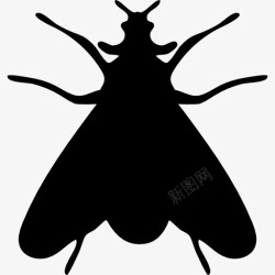昆虫图标蛾类昆虫的形状图标高清图片