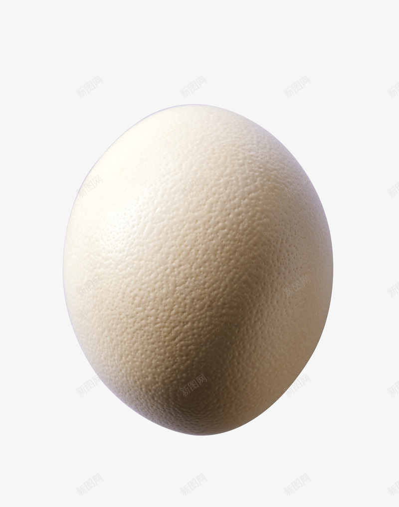 鸵鸟蛋摄影png免抠素材_新图网 https://ixintu.com 一个鸵鸟蛋 实物 新鲜鸵鸟蛋 生食 生鲜 蛋 食物 鸵鸟蛋 鸵鸟蛋摄影