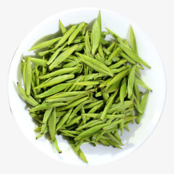 嫩茶新鲜采摘的嫩茶芽芽尖芽青高清图片