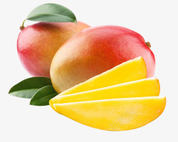 新鲜芒果水果素材