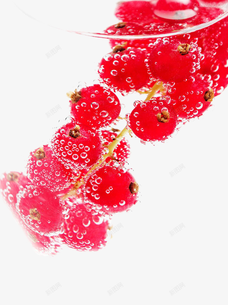 蔓越莓png免抠素材_新图网 https://ixintu.com 新鲜 有机水果 气泡 蔓越莓 颗粒