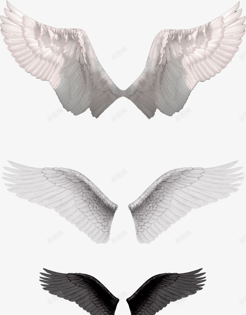 白色简约翅膀装饰图案png免抠素材_新图网 https://ixintu.com 免抠PNG 白色 简约 翅膀 装饰图案