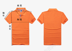 橙色t恤橙色T恤测量图高清图片