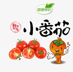 新鲜小番茄现摘小番茄高清图片