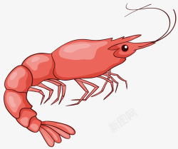 海鲜类食物红色的大虾高清图片