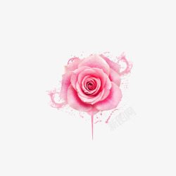 粉色玫瑰墨迹装饰素材