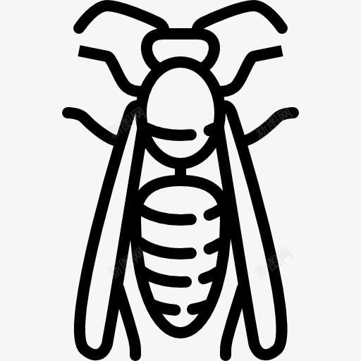 大黄蜂图标png_新图网 https://ixintu.com 动物 危险的 昆虫 翅膀 野生动物 野生的