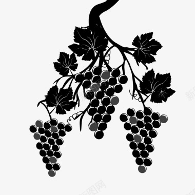 黑色手绘扁平葡萄水果图标图标