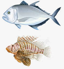 墨色斑点鱼白鱼和飞鱼高清图片