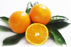 黄色新鲜橙子水果树叶素材